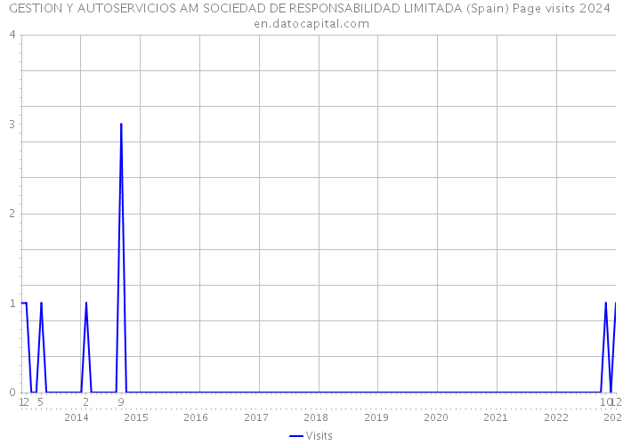 GESTION Y AUTOSERVICIOS AM SOCIEDAD DE RESPONSABILIDAD LIMITADA (Spain) Page visits 2024 