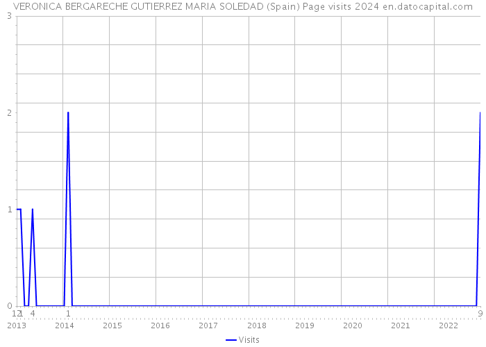 VERONICA BERGARECHE GUTIERREZ MARIA SOLEDAD (Spain) Page visits 2024 