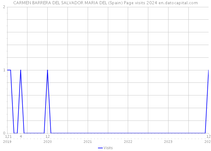 CARMEN BARRERA DEL SALVADOR MARIA DEL (Spain) Page visits 2024 