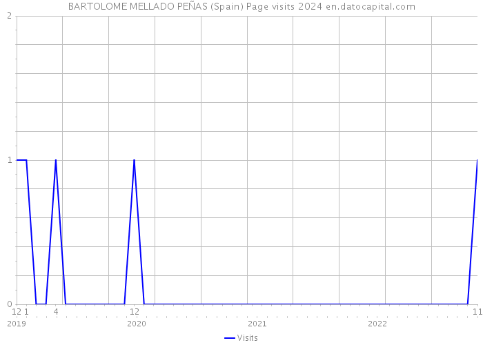 BARTOLOME MELLADO PEÑAS (Spain) Page visits 2024 