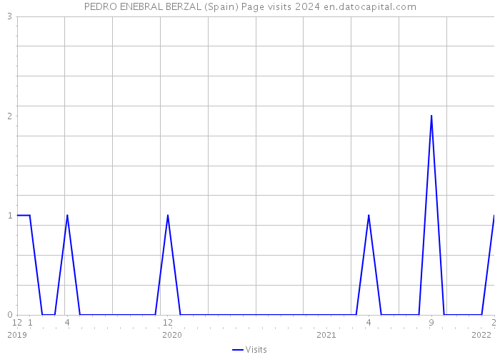 PEDRO ENEBRAL BERZAL (Spain) Page visits 2024 