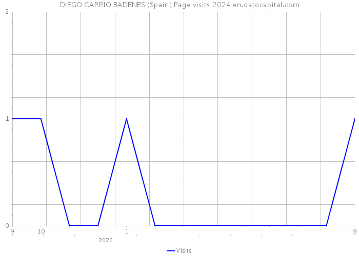 DIEGO CARRIO BADENES (Spain) Page visits 2024 
