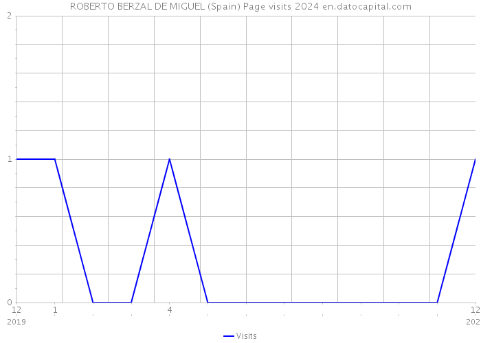 ROBERTO BERZAL DE MIGUEL (Spain) Page visits 2024 