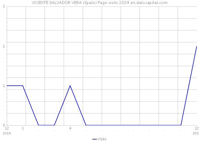 VICENTE SALVADOR VERA (Spain) Page visits 2024 