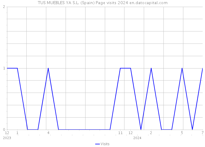 TUS MUEBLES YA S.L. (Spain) Page visits 2024 