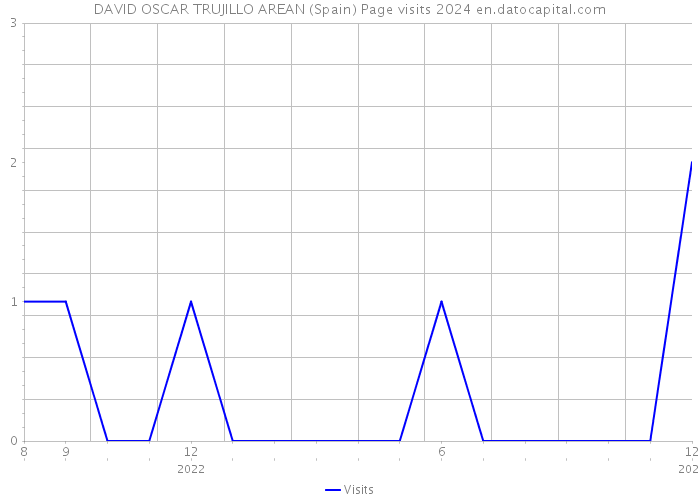 DAVID OSCAR TRUJILLO AREAN (Spain) Page visits 2024 