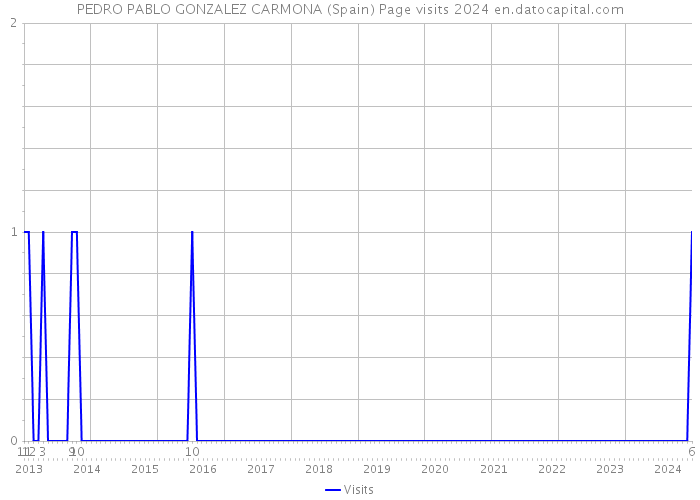 PEDRO PABLO GONZALEZ CARMONA (Spain) Page visits 2024 