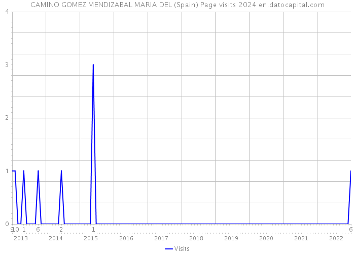 CAMINO GOMEZ MENDIZABAL MARIA DEL (Spain) Page visits 2024 