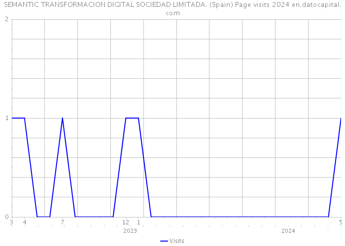 SEMANTIC TRANSFORMACION DIGITAL SOCIEDAD LIMITADA. (Spain) Page visits 2024 