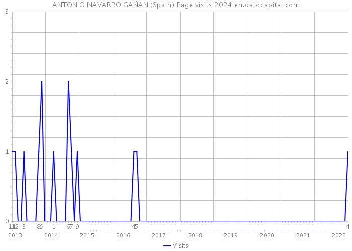 ANTONIO NAVARRO GAÑAN (Spain) Page visits 2024 