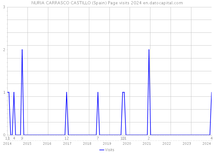 NURIA CARRASCO CASTILLO (Spain) Page visits 2024 