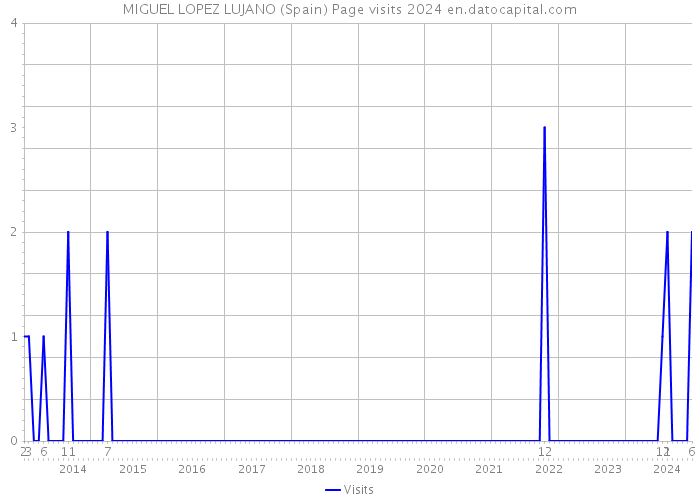 MIGUEL LOPEZ LUJANO (Spain) Page visits 2024 