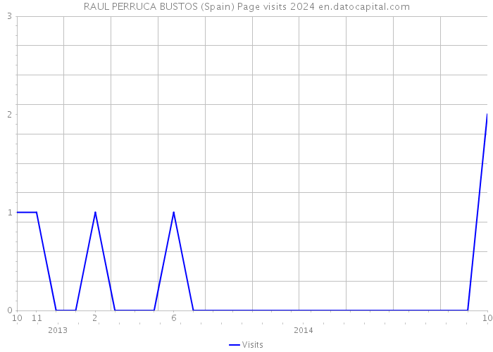 RAUL PERRUCA BUSTOS (Spain) Page visits 2024 