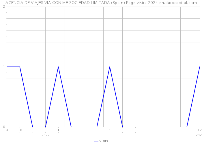 AGENCIA DE VIAJES VIA CON ME SOCIEDAD LIMITADA (Spain) Page visits 2024 