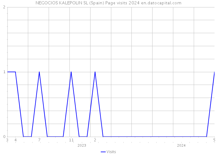 NEGOCIOS KALEPOLIN SL (Spain) Page visits 2024 