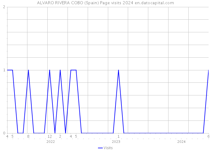 ALVARO RIVERA COBO (Spain) Page visits 2024 