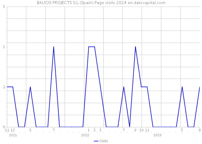 BAUCIS PROJECTS S.L (Spain) Page visits 2024 