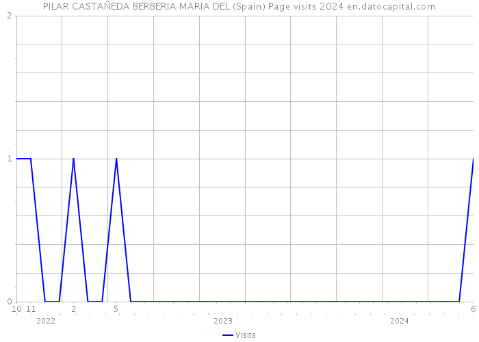 PILAR CASTAÑEDA BERBERIA MARIA DEL (Spain) Page visits 2024 