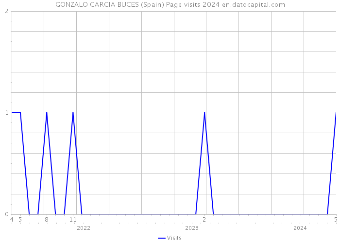 GONZALO GARCIA BUCES (Spain) Page visits 2024 