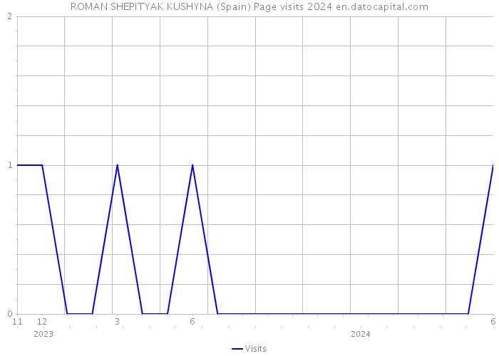 ROMAN SHEPITYAK KUSHYNA (Spain) Page visits 2024 