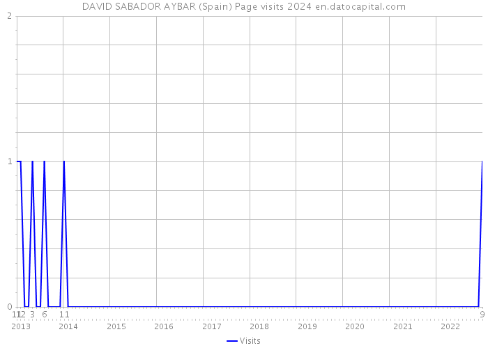 DAVID SABADOR AYBAR (Spain) Page visits 2024 