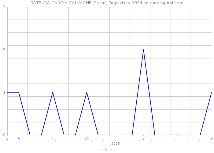 PATRICIA GARCIA CALVACHE (Spain) Page visits 2024 