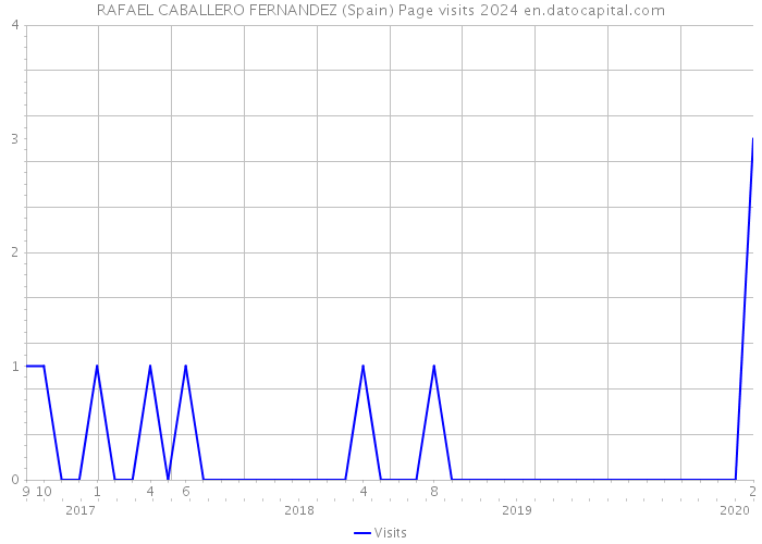 RAFAEL CABALLERO FERNANDEZ (Spain) Page visits 2024 
