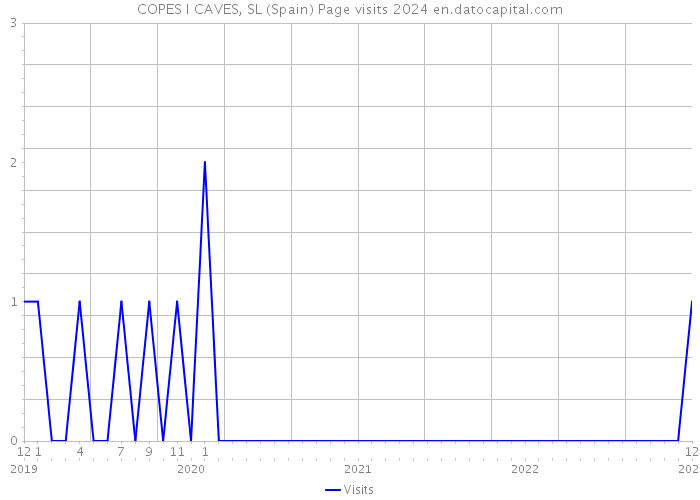 COPES I CAVES, SL (Spain) Page visits 2024 