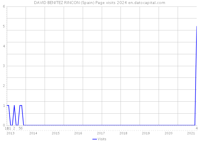 DAVID BENITEZ RINCON (Spain) Page visits 2024 
