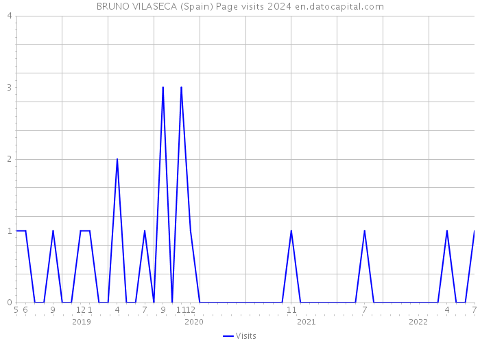 BRUNO VILASECA (Spain) Page visits 2024 