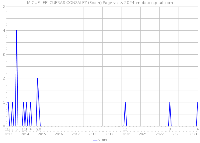 MIGUEL FELGUERAS GONZALEZ (Spain) Page visits 2024 