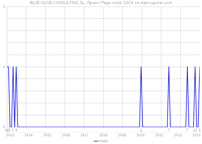 BLUE OLIVE CONSULTING SL. (Spain) Page visits 2024 