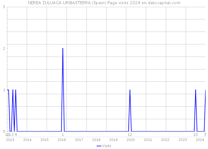 NEREA ZULUAGA URIBASTERRA (Spain) Page visits 2024 