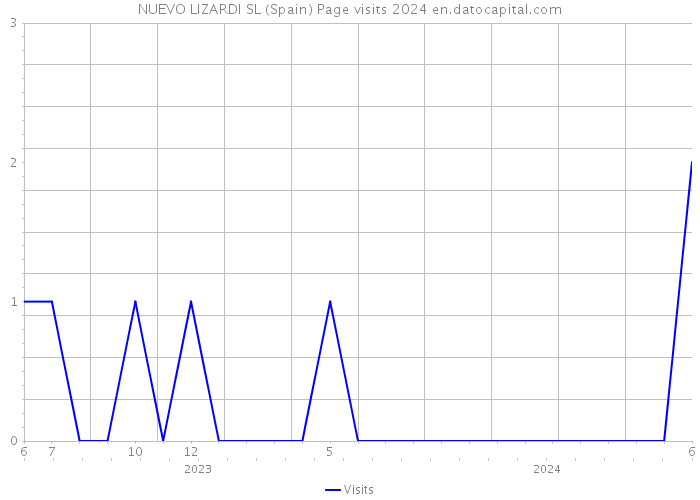 NUEVO LIZARDI SL (Spain) Page visits 2024 