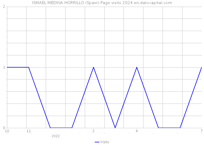 ISMAEL MEDINA HORRILLO (Spain) Page visits 2024 