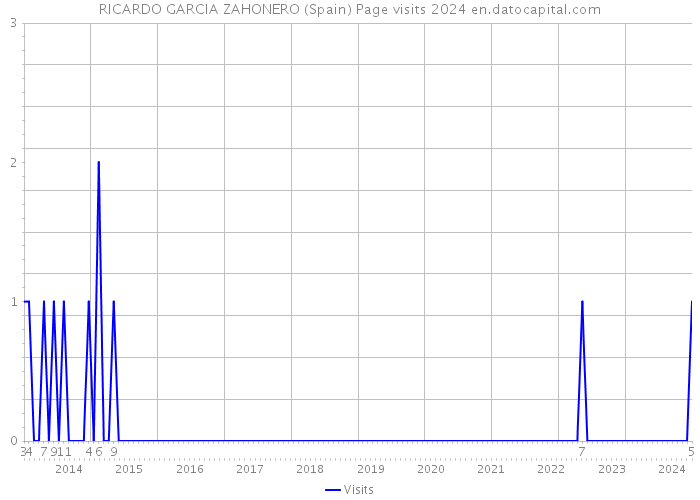 RICARDO GARCIA ZAHONERO (Spain) Page visits 2024 