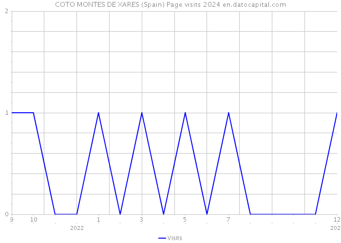 COTO MONTES DE XARES (Spain) Page visits 2024 