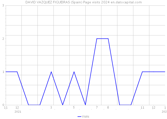 DAVID VAZQUEZ FIGUEIRAS (Spain) Page visits 2024 