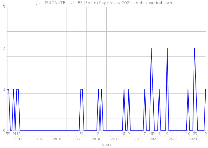 JULI PUIGANTELL ULLES (Spain) Page visits 2024 