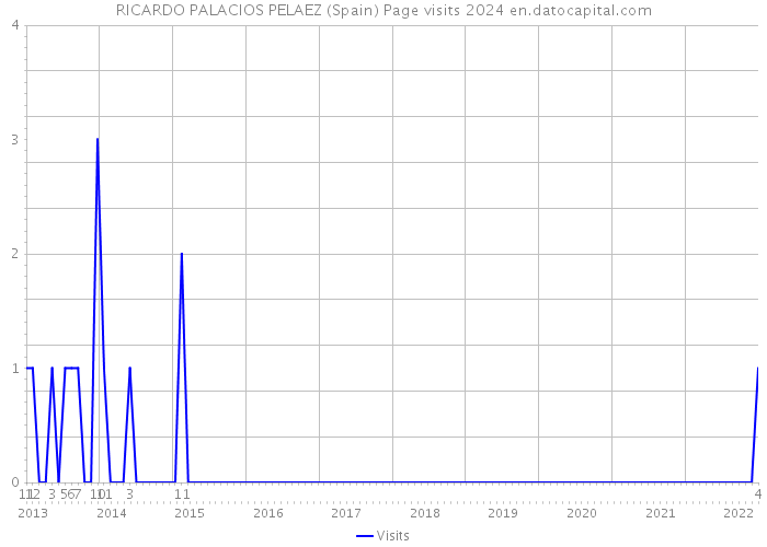 RICARDO PALACIOS PELAEZ (Spain) Page visits 2024 