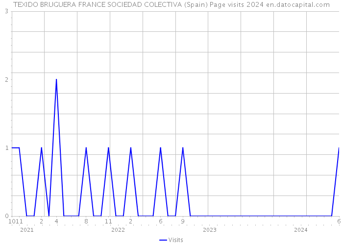 TEXIDO BRUGUERA FRANCE SOCIEDAD COLECTIVA (Spain) Page visits 2024 