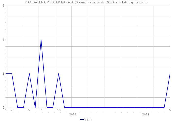 MAGDALENA PULGAR BARAJA (Spain) Page visits 2024 