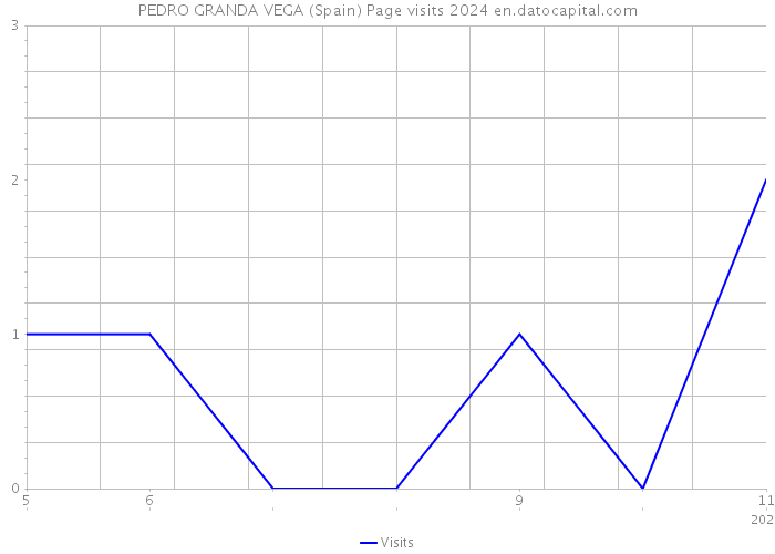 PEDRO GRANDA VEGA (Spain) Page visits 2024 