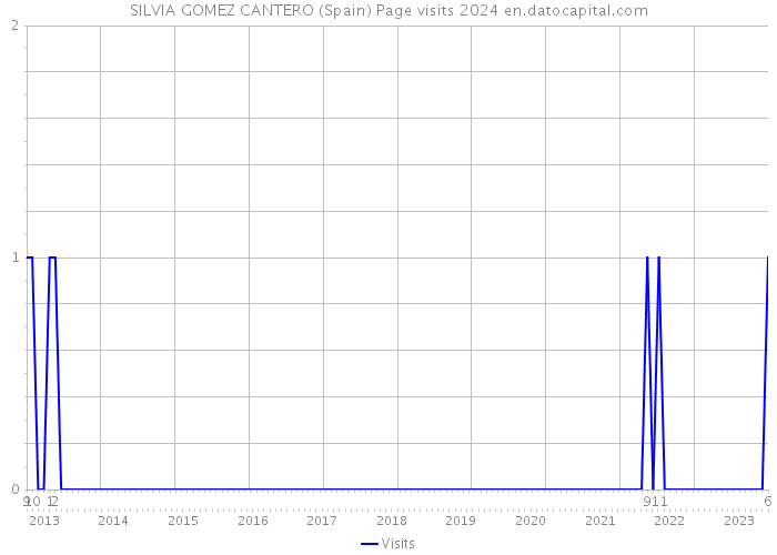 SILVIA GOMEZ CANTERO (Spain) Page visits 2024 