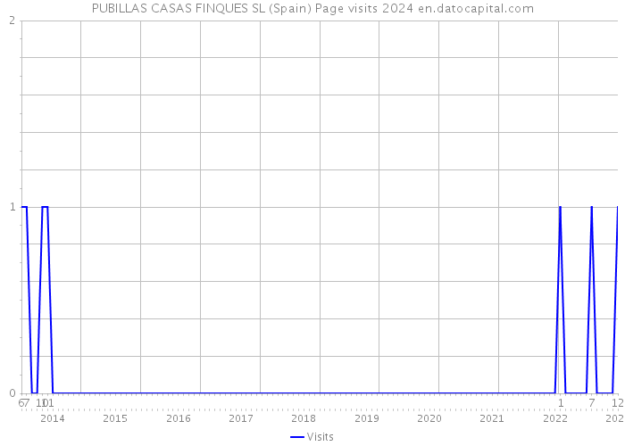 PUBILLAS CASAS FINQUES SL (Spain) Page visits 2024 
