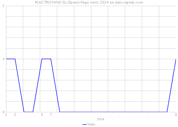 RUIZ TROYANO SL (Spain) Page visits 2024 