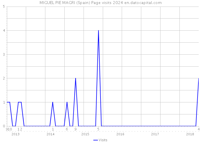 MIGUEL PIE MAGRI (Spain) Page visits 2024 