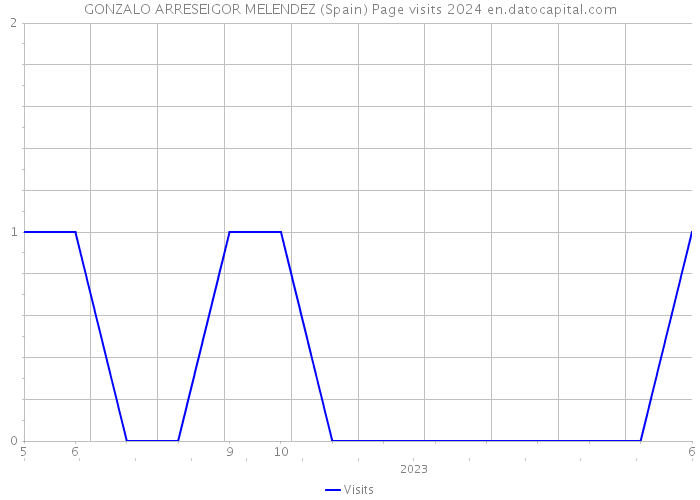 GONZALO ARRESEIGOR MELENDEZ (Spain) Page visits 2024 