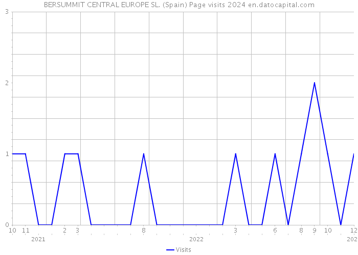 BERSUMMIT CENTRAL EUROPE SL. (Spain) Page visits 2024 