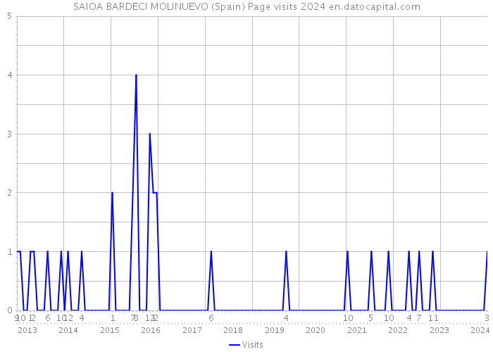 SAIOA BARDECI MOLINUEVO (Spain) Page visits 2024 